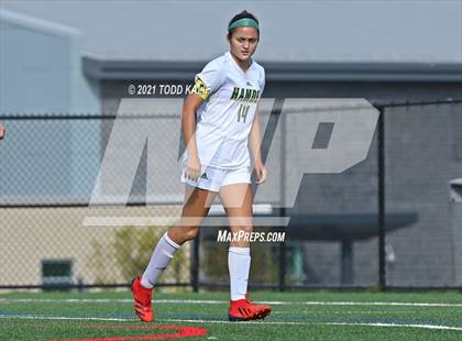 Thumbnail 2 in Hamden @ Fitch photogallery.