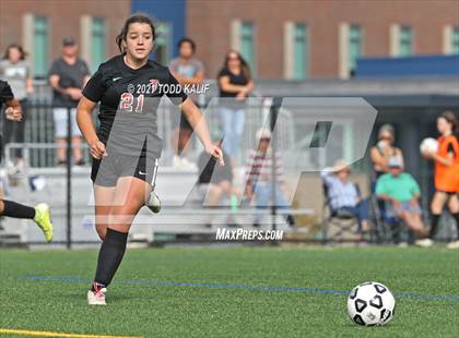 Thumbnail 2 in Hamden @ Fitch photogallery.