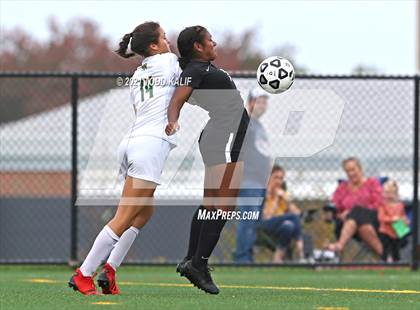 Thumbnail 1 in Hamden @ Fitch photogallery.