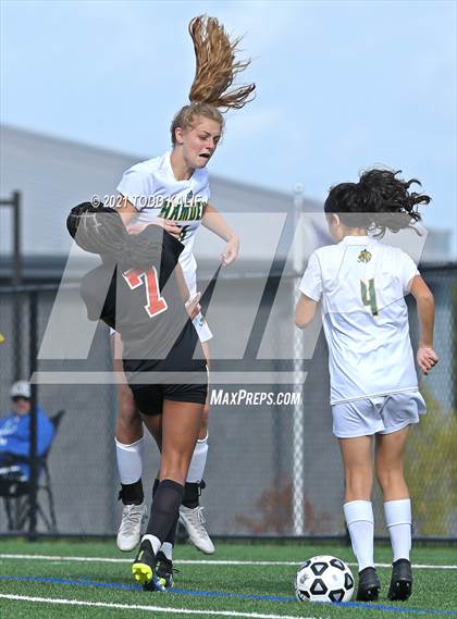 Thumbnail 1 in Hamden @ Fitch photogallery.