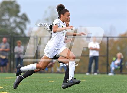 Thumbnail 1 in Hamden @ Fitch photogallery.