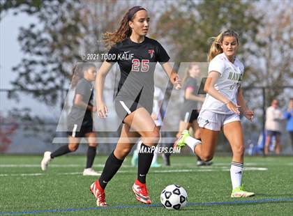 Thumbnail 3 in Hamden @ Fitch photogallery.
