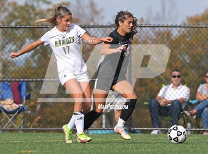 Thumbnail 3 in Hamden @ Fitch photogallery.