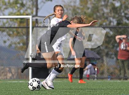 Thumbnail 1 in Hamden @ Fitch photogallery.