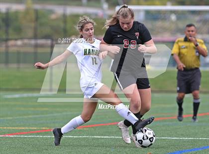 Thumbnail 1 in Hamden @ Fitch photogallery.