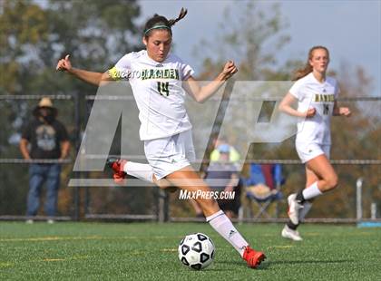 Thumbnail 2 in Hamden @ Fitch photogallery.