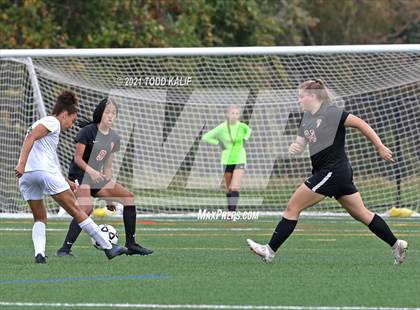 Thumbnail 1 in Hamden @ Fitch photogallery.