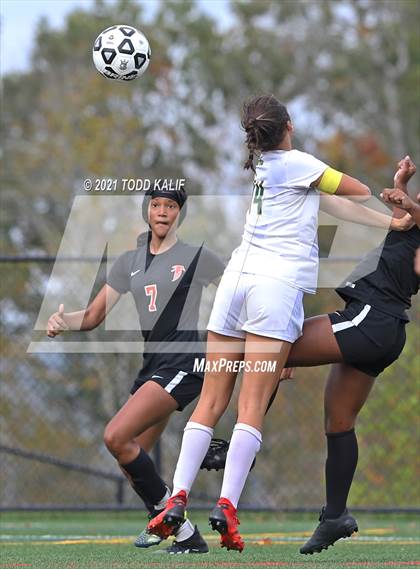Thumbnail 1 in Hamden @ Fitch photogallery.