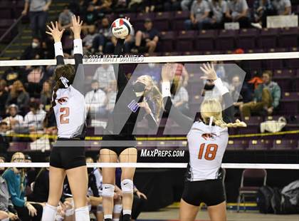 Thumbnail 3 in Lutheran @ Sterling (CHSAA 3A Playoff) photogallery.