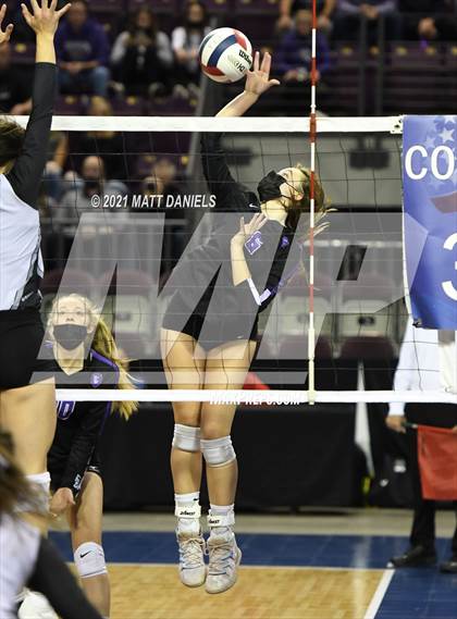 Thumbnail 1 in Lutheran @ Sterling (CHSAA 3A Playoff) photogallery.