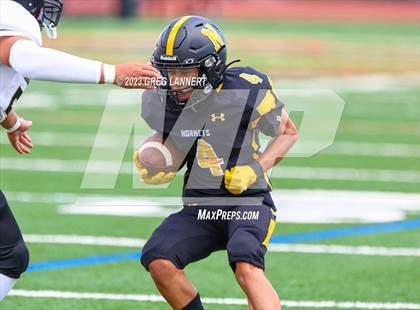 Thumbnail 1 in Hayward @ Novato photogallery.
