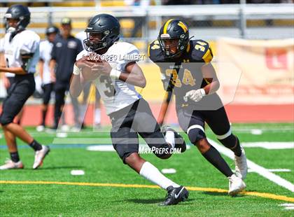 Thumbnail 3 in Hayward @ Novato photogallery.