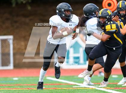 Thumbnail 2 in Hayward @ Novato photogallery.