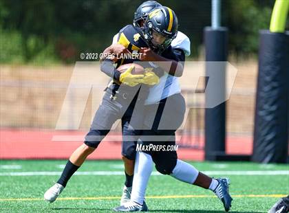 Thumbnail 2 in Hayward @ Novato photogallery.