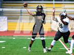 Photo from the gallery "Hayward @ Novato"