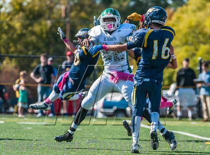Thumbnail 3 in El Cerrito @ Berean Christian photogallery.