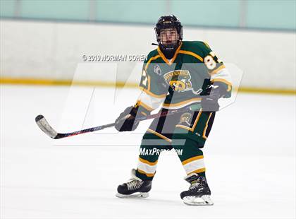 Thumbnail 1 in Stevenson vs. Barrington photogallery.