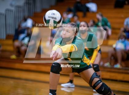 Thumbnail 3 in Seventy-First vs Pine Forest (Trojan Invitational Volleyball Tournament) photogallery.