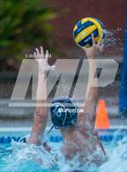 Photo from the gallery "Laguna Creek @ Franklin"