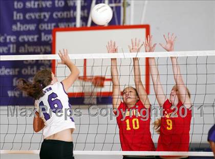 Thumbnail 3 in Chico @ Shasta photogallery.
