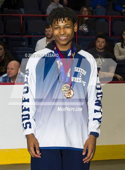 Thumbnail 1 in 2018 NYSPHSAA Wrestling Championships - Podium & Group Shots photogallery.