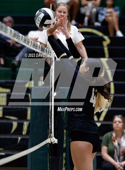 Thumbnail 3 in Perry @ Basha photogallery.