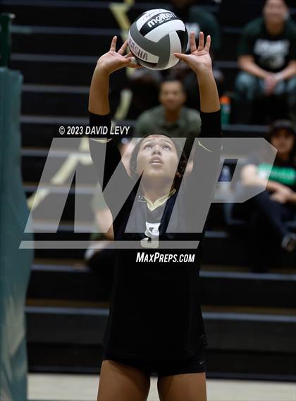 Thumbnail 1 in Perry @ Basha photogallery.