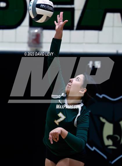 Thumbnail 2 in Perry @ Basha photogallery.