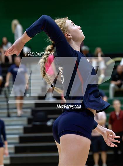 Thumbnail 1 in Perry @ Basha photogallery.