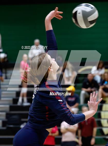 Thumbnail 1 in Perry @ Basha photogallery.