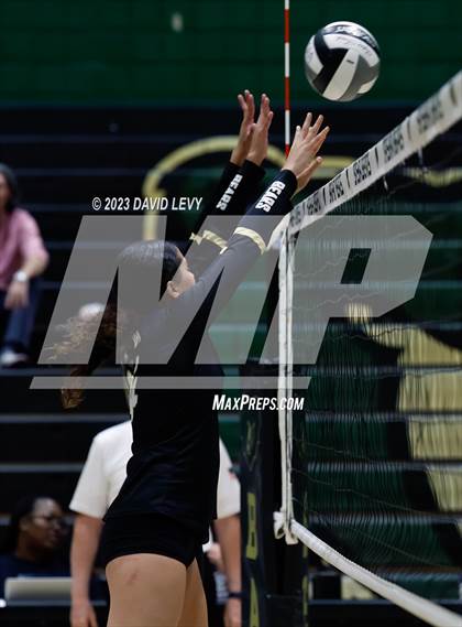 Thumbnail 2 in Perry @ Basha photogallery.