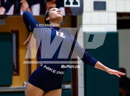 Thumbnail 2 in Perry @ Basha photogallery.