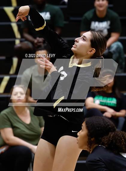 Thumbnail 3 in Perry @ Basha photogallery.
