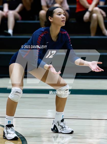 Thumbnail 3 in Perry @ Basha photogallery.
