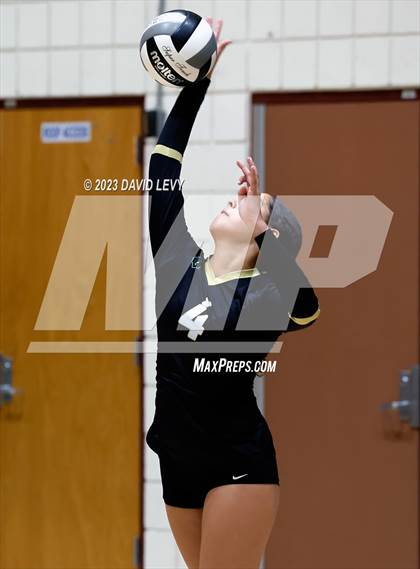 Thumbnail 2 in Perry @ Basha photogallery.