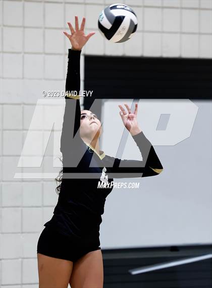 Thumbnail 2 in Perry @ Basha photogallery.