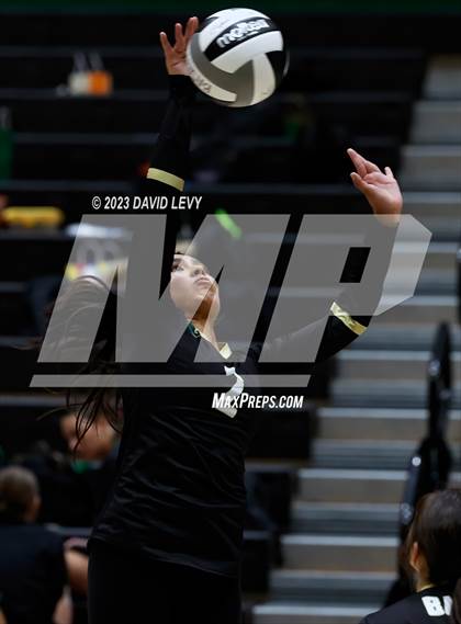 Thumbnail 3 in Perry @ Basha photogallery.