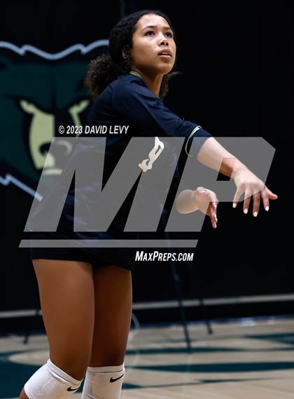 Thumbnail 1 in Perry @ Basha photogallery.