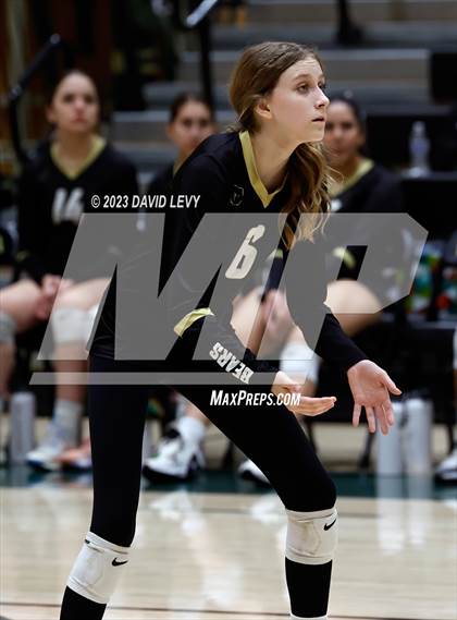Thumbnail 1 in Perry @ Basha photogallery.