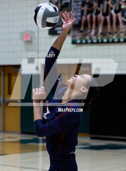 Thumbnail 1 in Perry @ Basha photogallery.