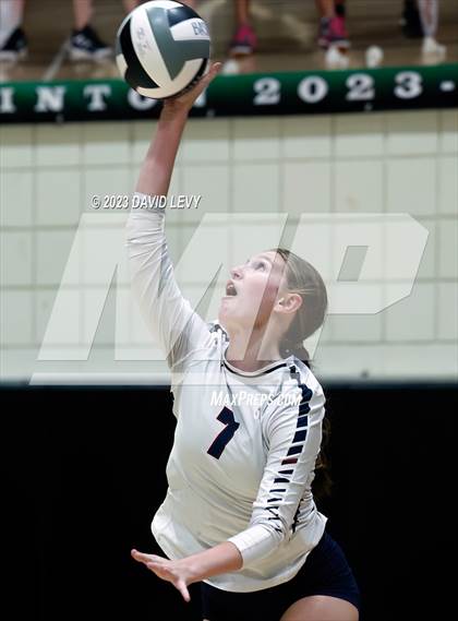 Thumbnail 3 in Perry @ Basha photogallery.