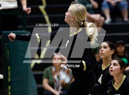 Thumbnail 1 in Perry @ Basha photogallery.