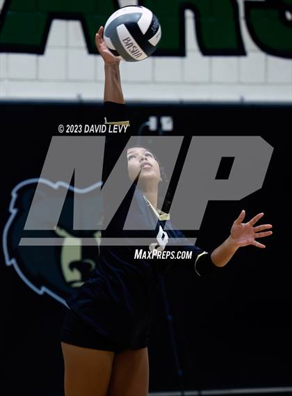 Thumbnail 3 in Perry @ Basha photogallery.