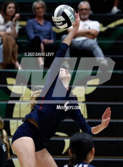 Thumbnail 1 in Perry @ Basha photogallery.