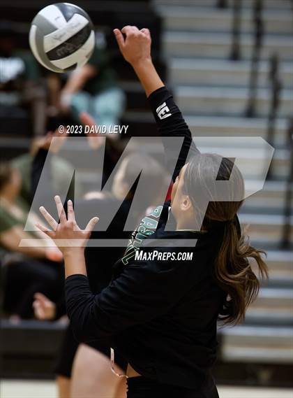 Thumbnail 3 in Perry @ Basha photogallery.