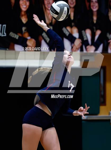 Thumbnail 1 in Perry @ Basha photogallery.