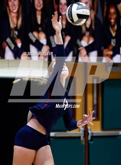 Thumbnail 1 in Perry @ Basha photogallery.