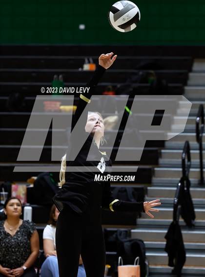 Thumbnail 2 in Perry @ Basha photogallery.