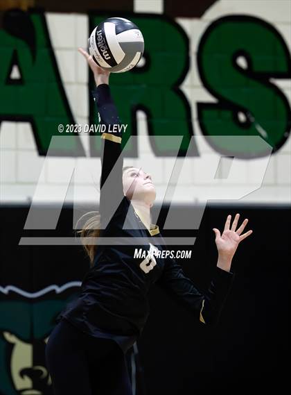 Thumbnail 3 in Perry @ Basha photogallery.