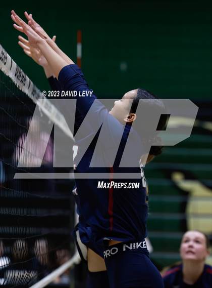 Thumbnail 2 in Perry @ Basha photogallery.